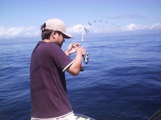 �V�C���ƃt�@�C�g��