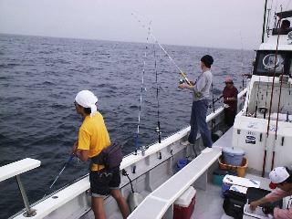 �L���X�g�`