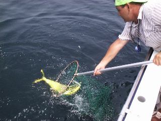 �����f�B���O