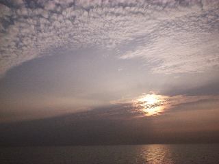 ���łɏH�̋�