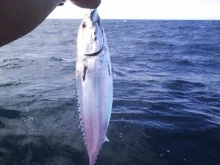 �\�[�_���`