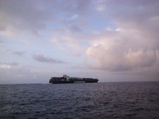 �ǂ��̍��֌����̂��H