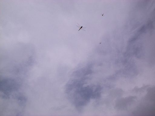 �A�L�A�J�l