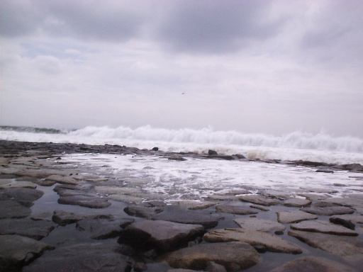 �����C��