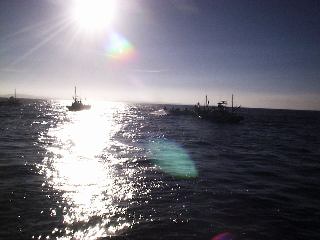 �J�c�I�|�C���g