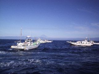 �x�m�R�Ƌ���