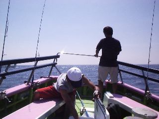 �~���V�ɂ�