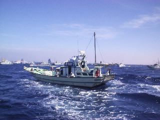 ���E�G���