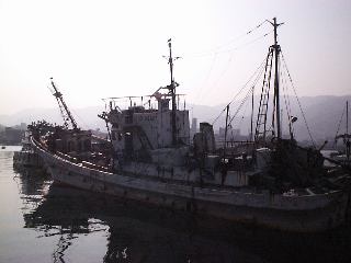 �������ނ��Ă���D�H