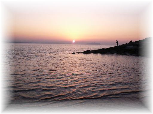 ������T�o�[