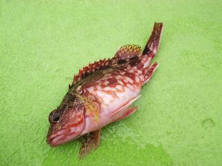 �����ׂ��O��