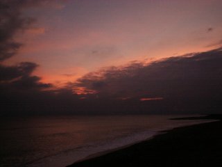 ������C�ݗ[�i