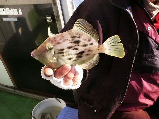 ���������J���n�M