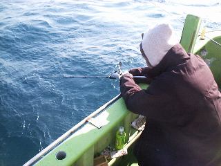 ���X�g�X�p�[�g