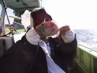 �u���Ƃɂ�