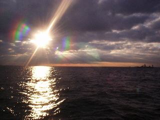 �T�����C�Y