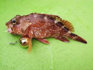 �����ׂ��O��