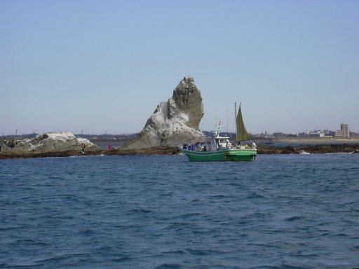 �V���D��