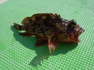 �����ׂ��O��