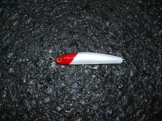 �����_�[