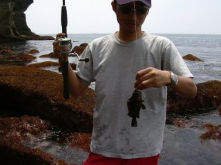 �����\�C�f�d�s