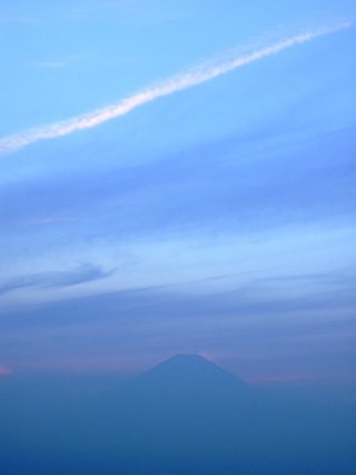 ���̓����