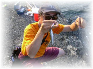 ���̂́E�E�E�B