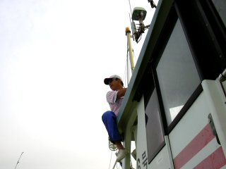 �V�C����T��