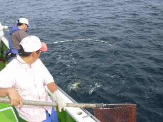 �����f�B���O