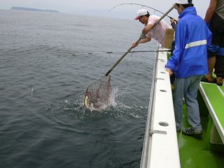 �����f�B���O