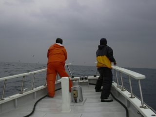 �~���V�O����