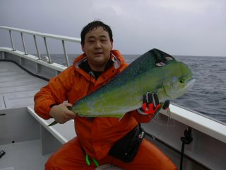 �S���W�T������