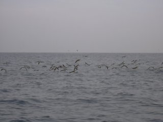 �g�����}