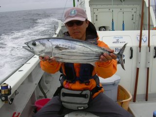 �Q�D�T�����J�c�I