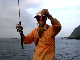 ���������E�E�E�B