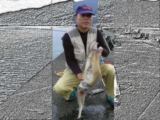 ���G���I�W�T��