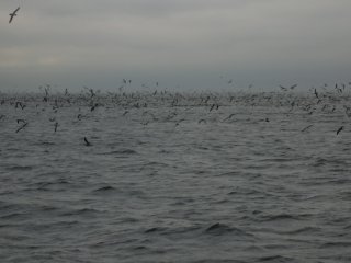 �g�����}