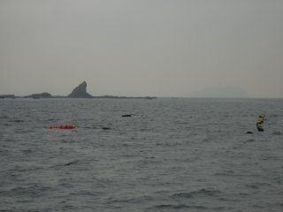 �]�m��������ł�E�E�E�B