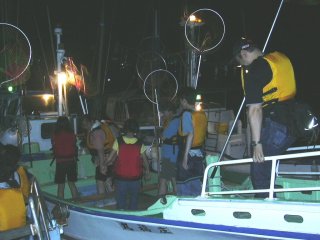 ��D���@���̎q���ڗ����Ă܂���