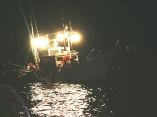 ���D�̗l�q