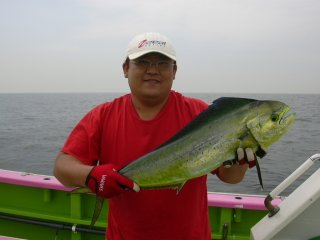 �V�C����