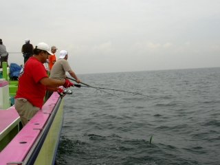 �}�c�_�C�́H�H�H