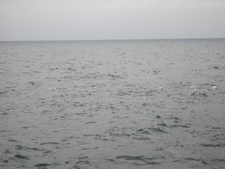 �J�c�I���`