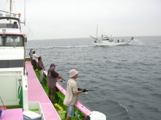 �J�c�I�ނ�܂���E�E�E�B