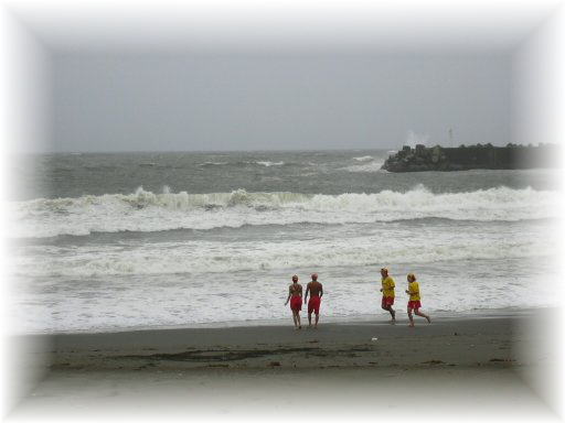 �T�U���r�[�`