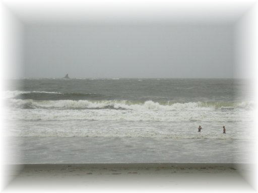 �T�U���r�[�`