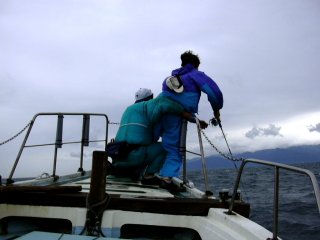 �~���V�R���r�l�[�V����