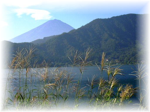 �͌��Εx�m�R