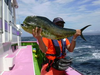 ���V�C��