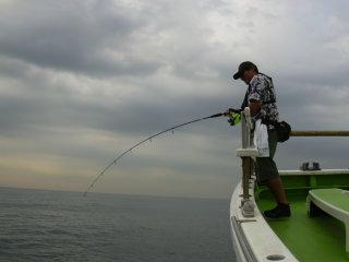 �t�@�C�g��